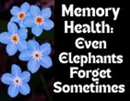 Memory Health: Even Elephants Forget Sometimes