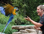 Birds of a Feather with the Cincinnati Zoo