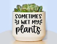 Fun Planter