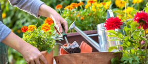 Level Up Your Gardening Game
