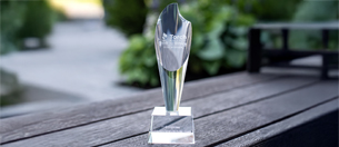 Your Award-Winning Library